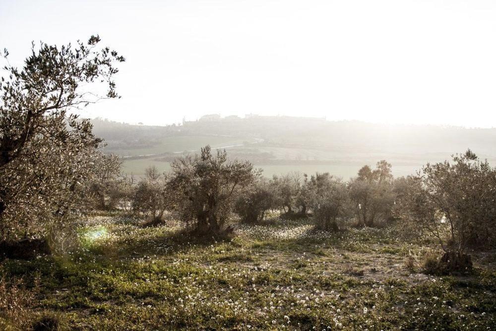 Masia Cal Millas - Turisme Rural Castellfullit de Riubregos Exterior photo